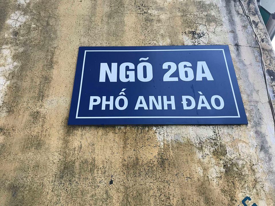 Our Houses 下龍 外观 照片